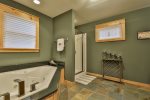 Master bathroom with  tub and walk-in shower